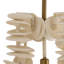 Kalama 8 - Light Pendant