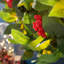 Faux Lighted Berry 61cm Wreath