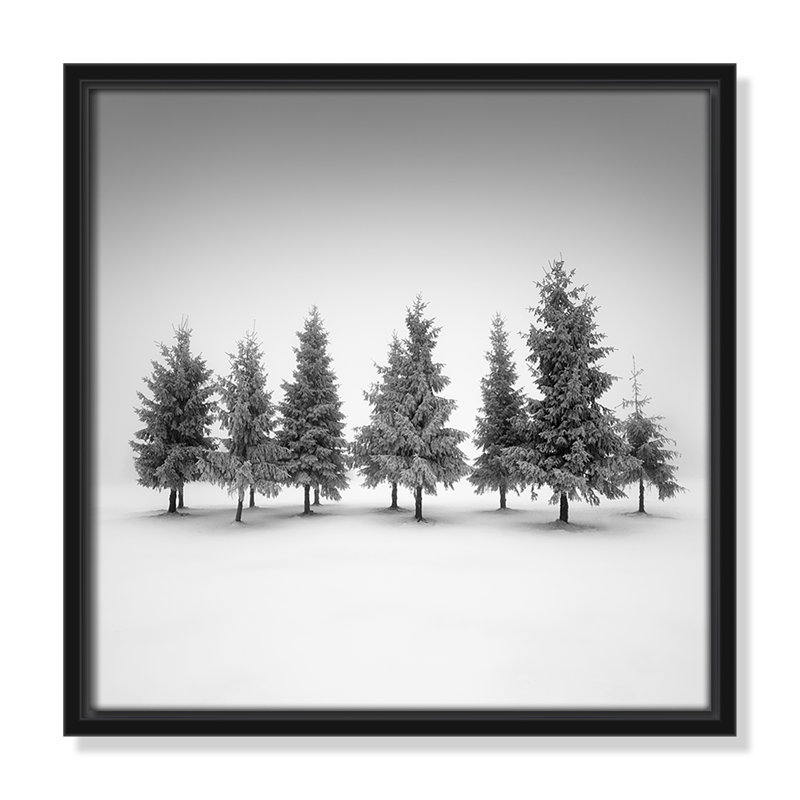 Impression d'épinette par Daniel, Toile avec cadre, L 13,5 po x H 13,5 po, Cadre flottant noir