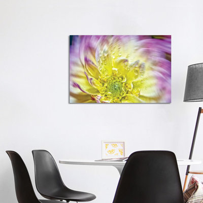 Spin up of a Yellow Dahlia 1 Piece Wrapped Canvas Wall Art