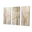 Minimalisme sycomore beige arbre solitude - ensemble de 3 décorations murales sycomore-260237728-260237730