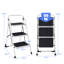 Steel Lightweight Step Ladder