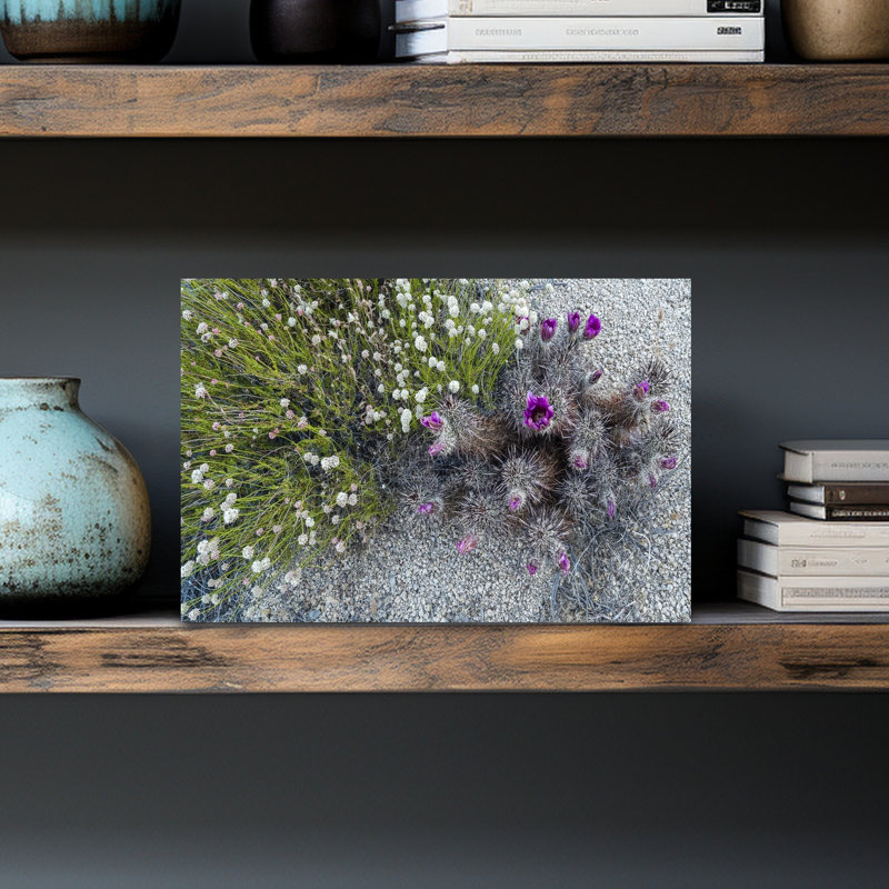 Wildflowers In A Desert Joshua Tree National Park San Bernardino County Riverside County Southern California California USA by Scott M. Tansey - Wrapped Canvas Print