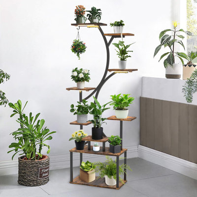 Plant Stand - Set of 11