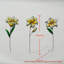 Arrangement de vitrail