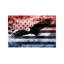 USA "Melting Film" Flag (Bald Eagle) - Print on Canvas-89230100-42161875