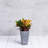 Sewickly Pot Planter-683715966-683715937