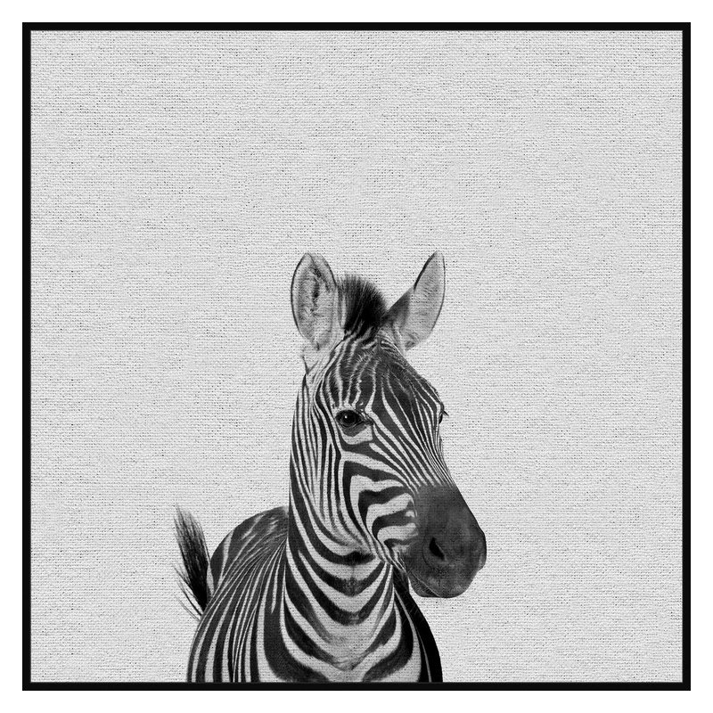 Gazing Zebra - Drawing on Canvas, 45cm H x 45cm W x 3.81cm D