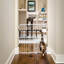 Barrière extensible pour animaux de compagnie à fixation par pression-47814740-14994531