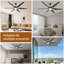 Ventilateur de plafond de 65 pouces avec lumières et télécommande, 6 pales, réversible, moteur à courant continu silencieux à 6 vitesses, grand ventilateur de plafond noir pour intérieur / extérieur / chambre à coucher / patio / maison de campagne