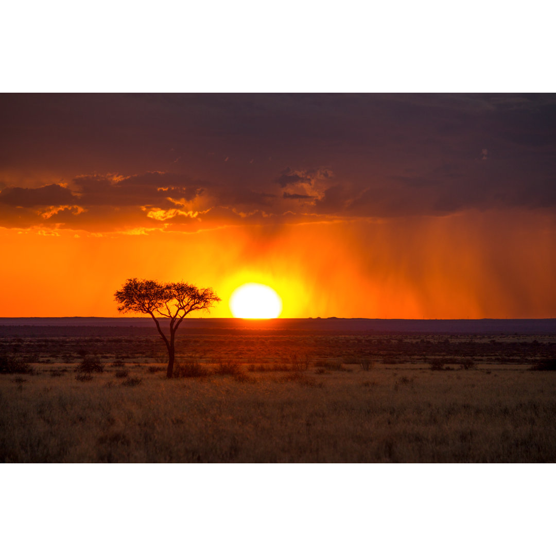 African Red Sunset - Wrapped Canvas Print