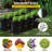 VEVOR 10 Watt Hydroponic Unit