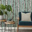 Birch Trees Wallpaper-1859182880