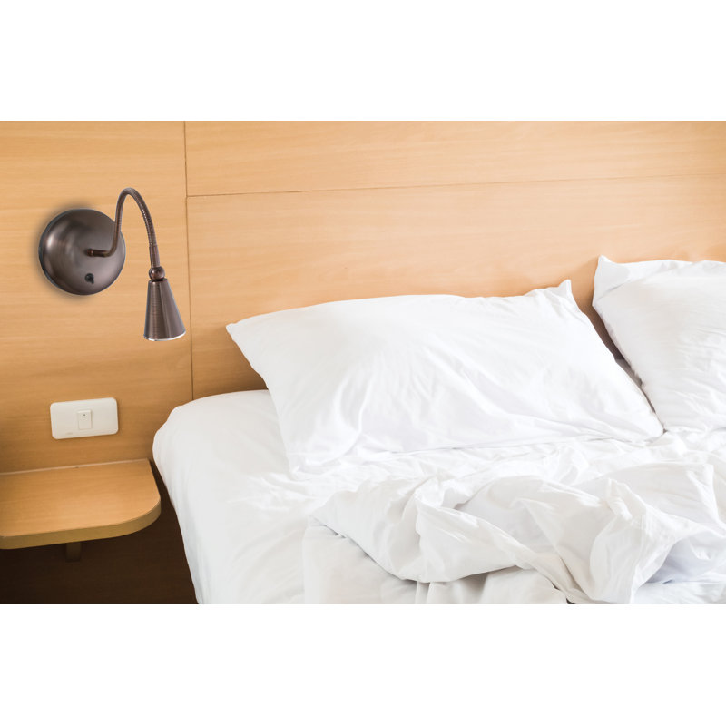 Brunilda Spotlight, Bronze