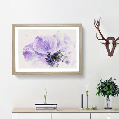 Purple Anemone Flower - Framed Print