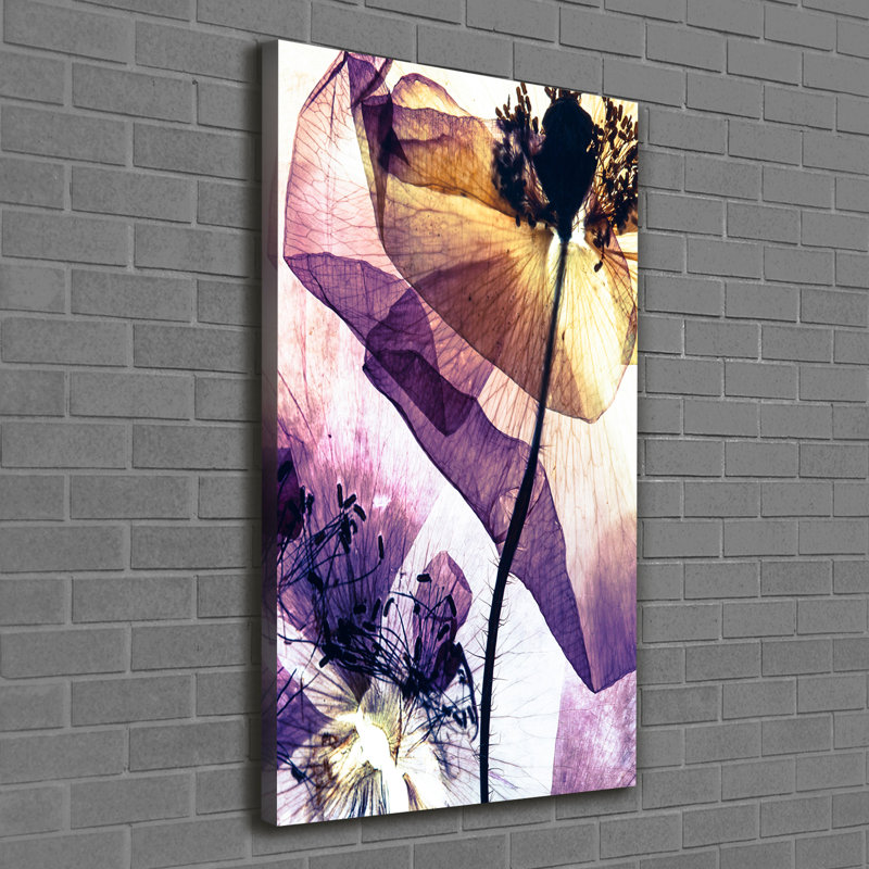 Maki - Wrapped Canvas Print