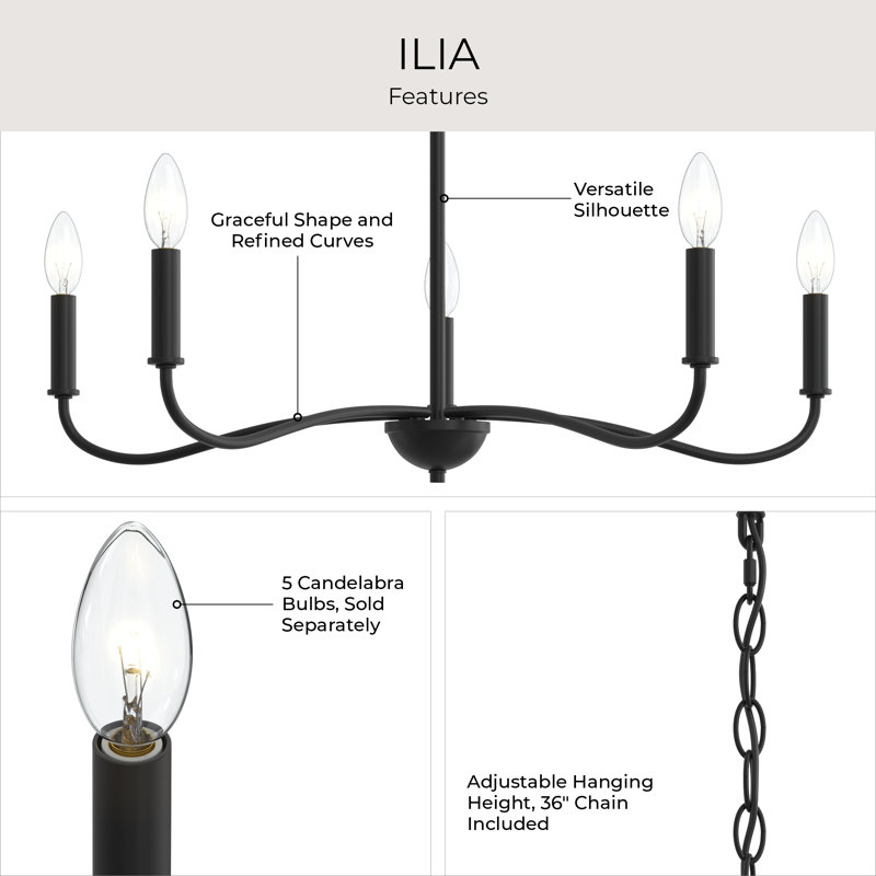 Ilia 5-Light Matte Black Chandelier, Matte Black, 18.25" H x 28" W x 28" D