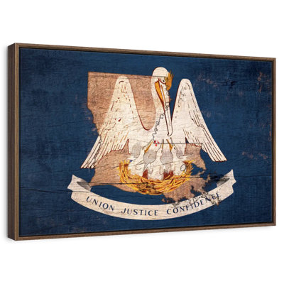 Pélican de Louisiane