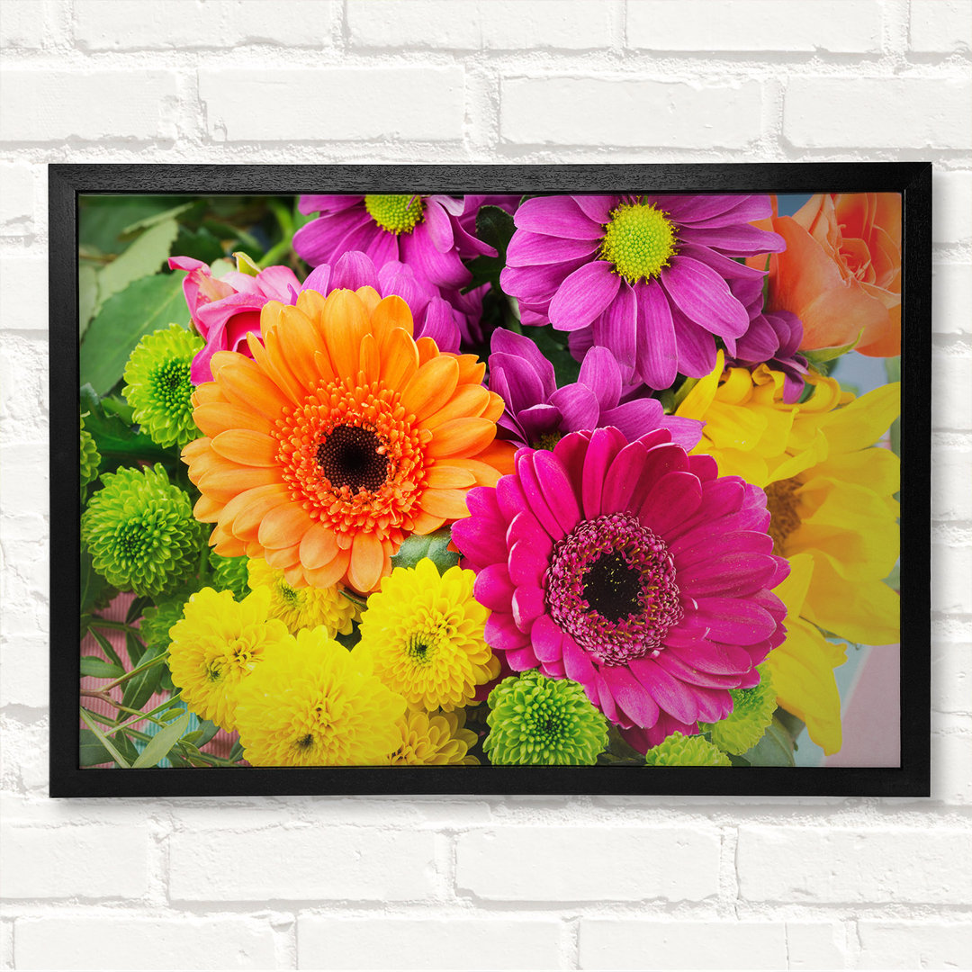 Gerbera Flower Mix - Drucken