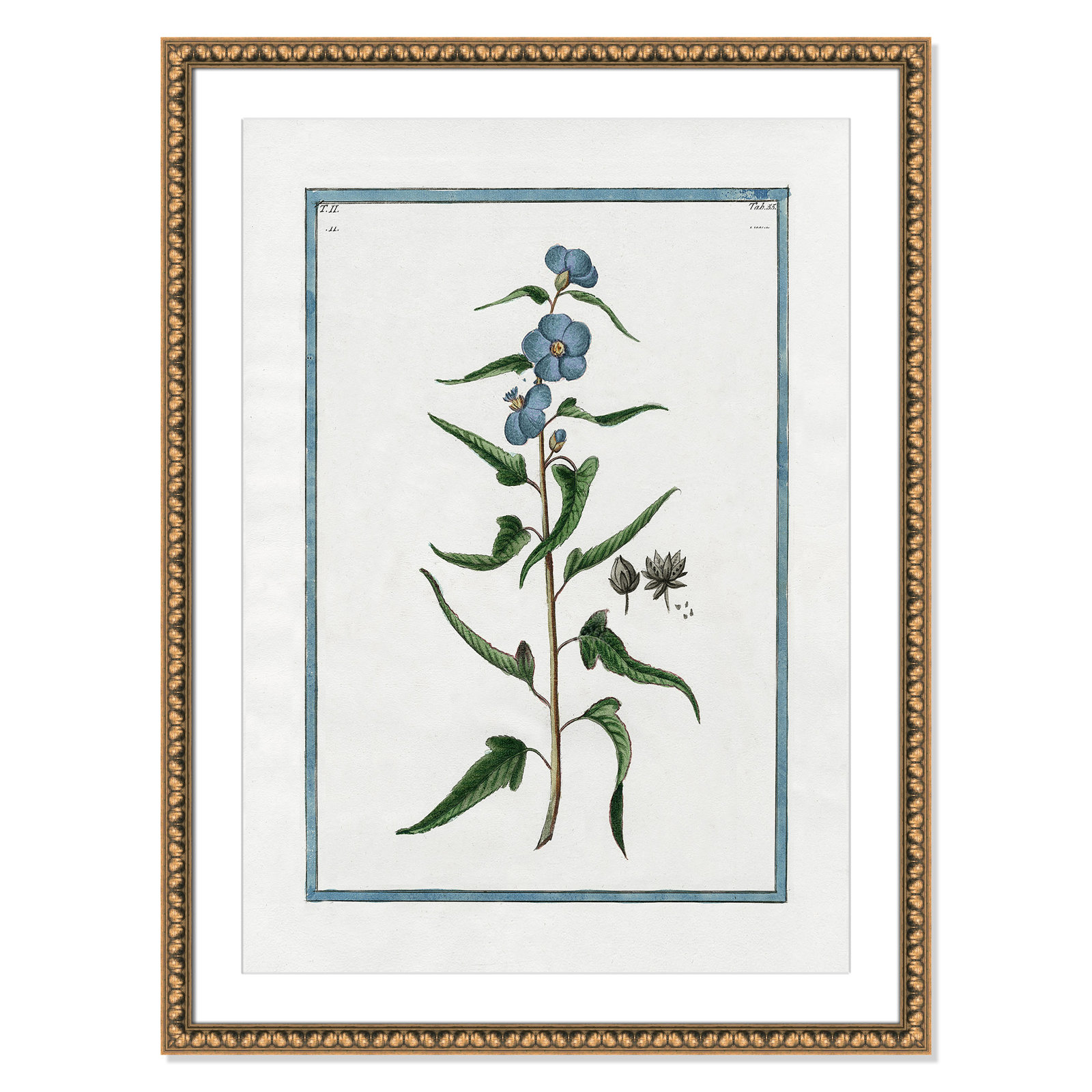 Colombe "Shabby Elegance Botanical I" Print, Gold Bead Framed, 26.5" W x 36.5" H