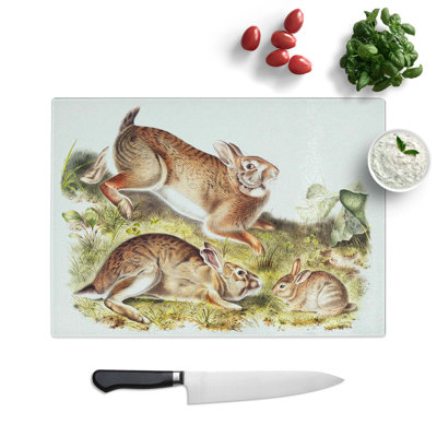 Glass Grey Rabbits by J.W. Audubon Chopping Board