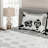 Modern & Contemporary Polyester Coverlet