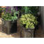 Jolin Handmade Pot Planter-1347139509