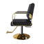 Fauteuil de coiffeur non inclinable avec fauteuil de coiffeur 360 °
