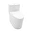 Toilettes allongées monobloc Siphonic-124637509