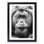 Orangutan - Picture Frame Graphic Art Print-55733785-55733789