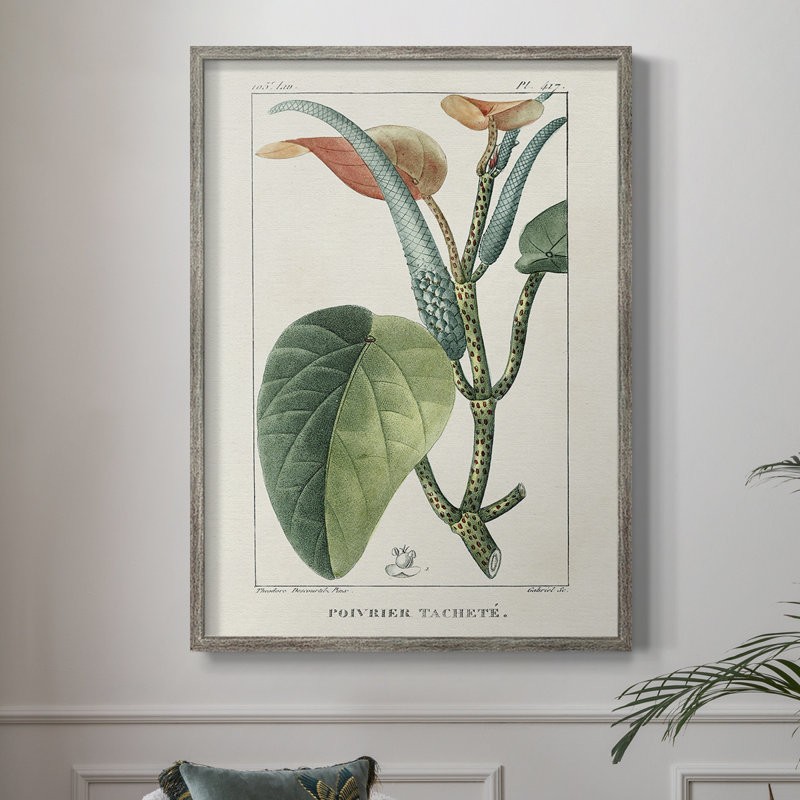 «Turpin Tropical Botanicals II», reproduction encadrée - bois massif, H 21 po x l 17 po