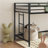 Twin Loft Bunk Bed