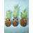 Summer Pineapples Print On Canvas