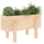Meenakshi Wood Raised Garden Bed-1774958731-1774958728-1774958733