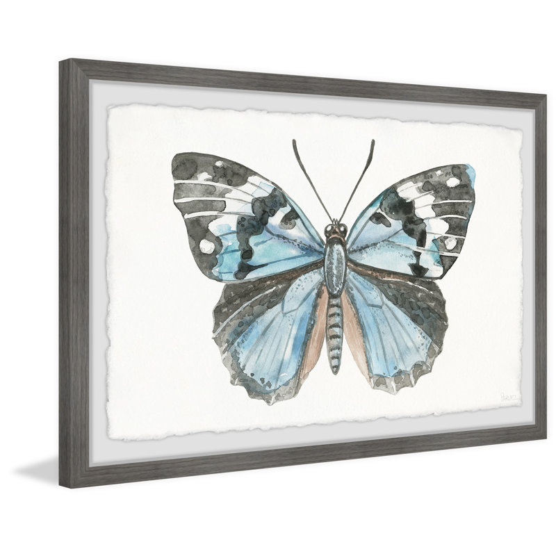 Wild Butterfly by Parvez Taj - Single Picture Frame Painting, 41cm H x 61cm W x 3.81cm D