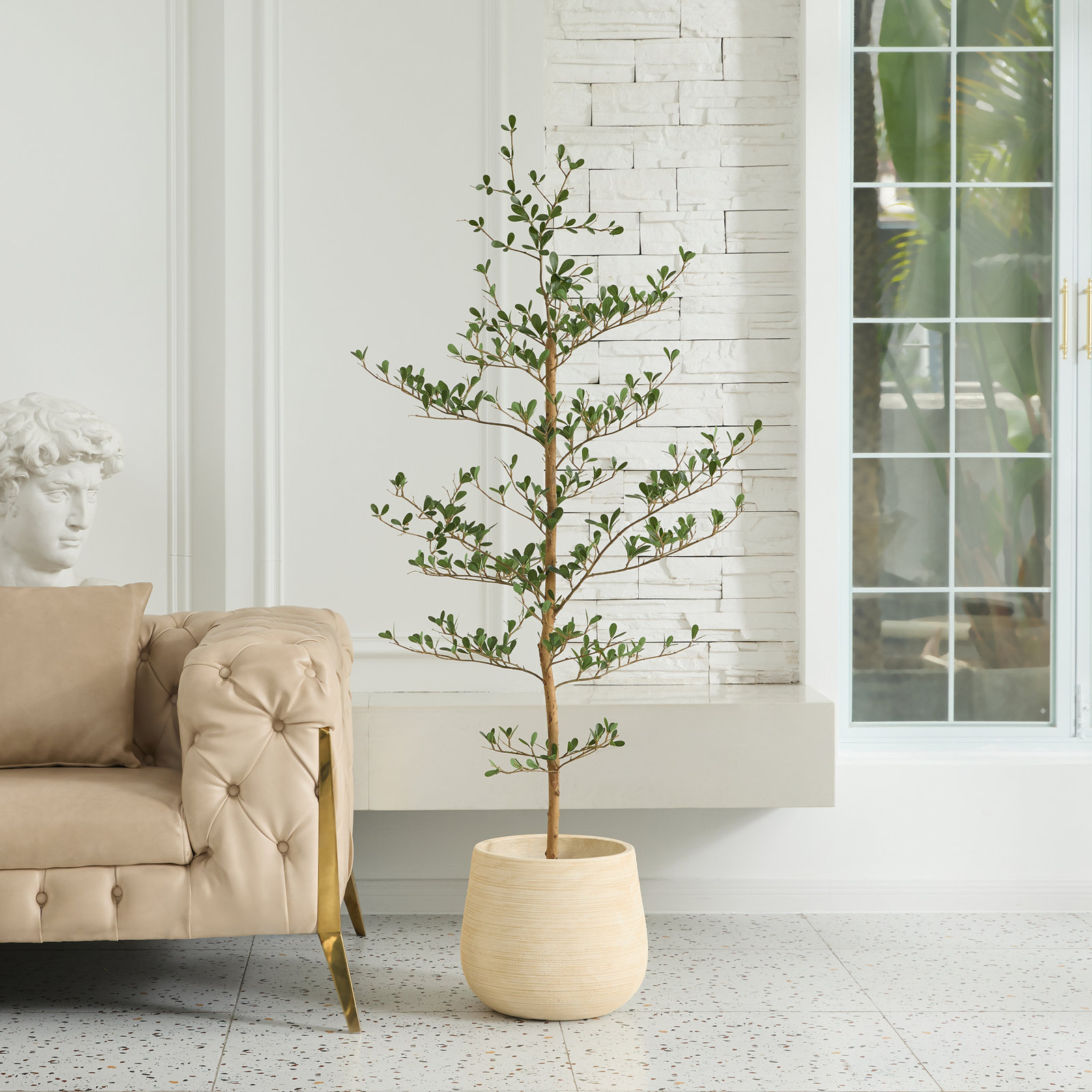 Adcock Olive Tree in Pot, 60" H x 20" W x 20" D
