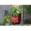 Einar Pot Planter-1529118355-1529118356