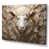 Toile tendue