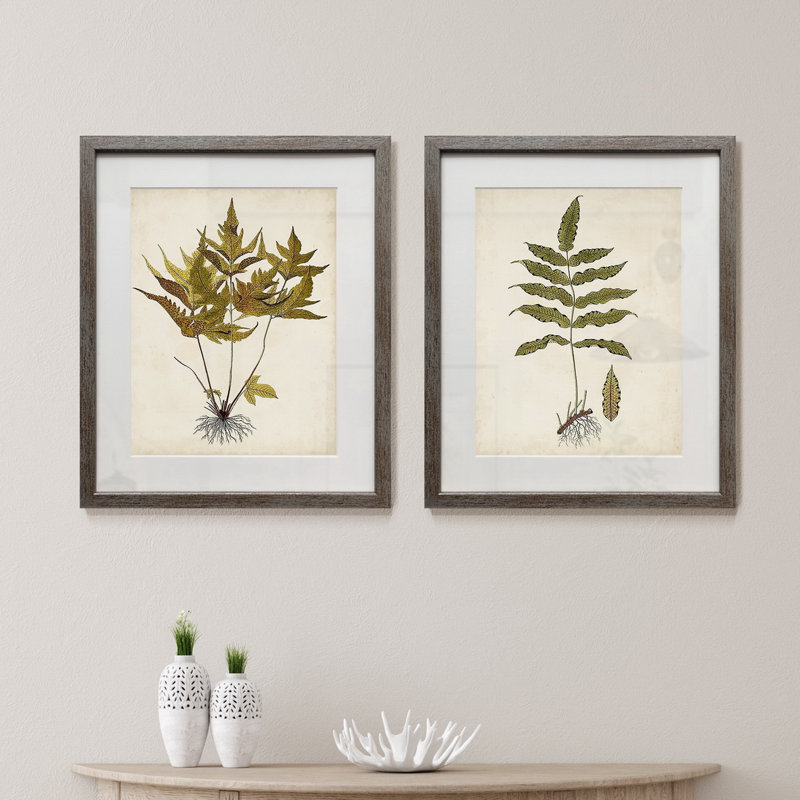 Fougère Botanical II-ensemble de 2 reproductions d’art encadrées sur papier