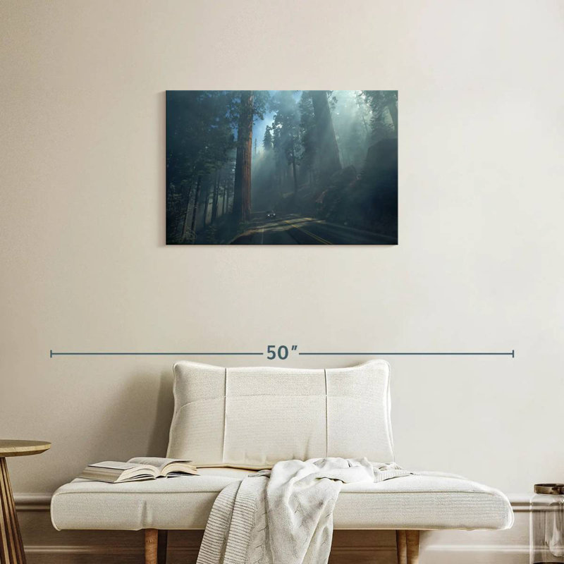 Séquoia Harnek et arbres Kings Canyon, H 20 po x l 30 po