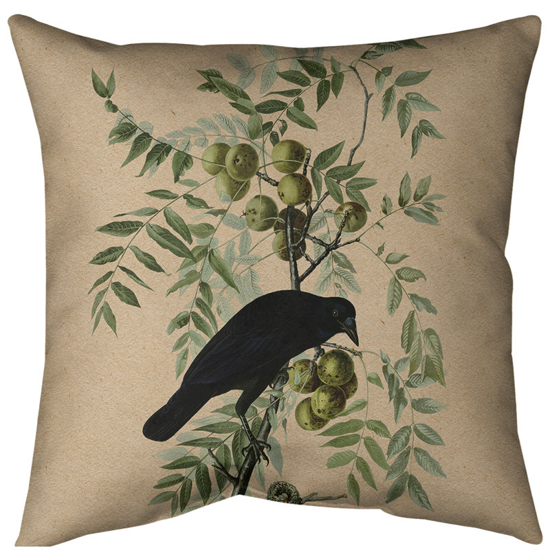 Coussin décoratif d’intérieur en polyester/mélange de polyester american crow, Bourre en polyester, 14 po x 14 po, Orange