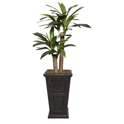 Panama Dracaena plante artificielle 64 po en pot