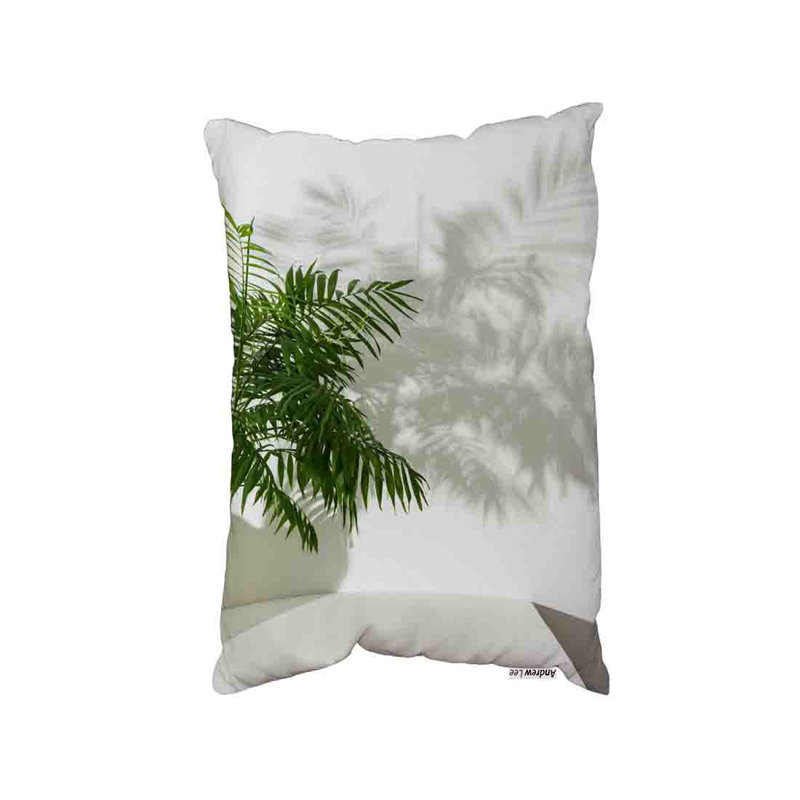 Cushion