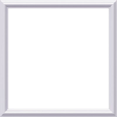 Ashford Molded Classic Wainscot Wall Panel