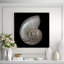 Nautilus Print by Harold Davis-26935253-26935257