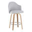 Contemporary Counter Stool-529814068