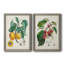 Abricot Peche - ensemble de reproduction d'art sur toile-93110608-93110623-91252911