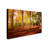 Philippe Sainte-Laudy - Photograph on Canvas-745795437