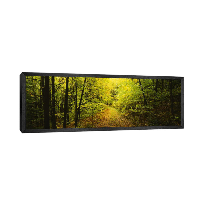 Dirt road passing through a forest, Vermont, USA 1 Piece Panoramic Wall Art on Canvas, 182.88 cm H x 60.96 cm W