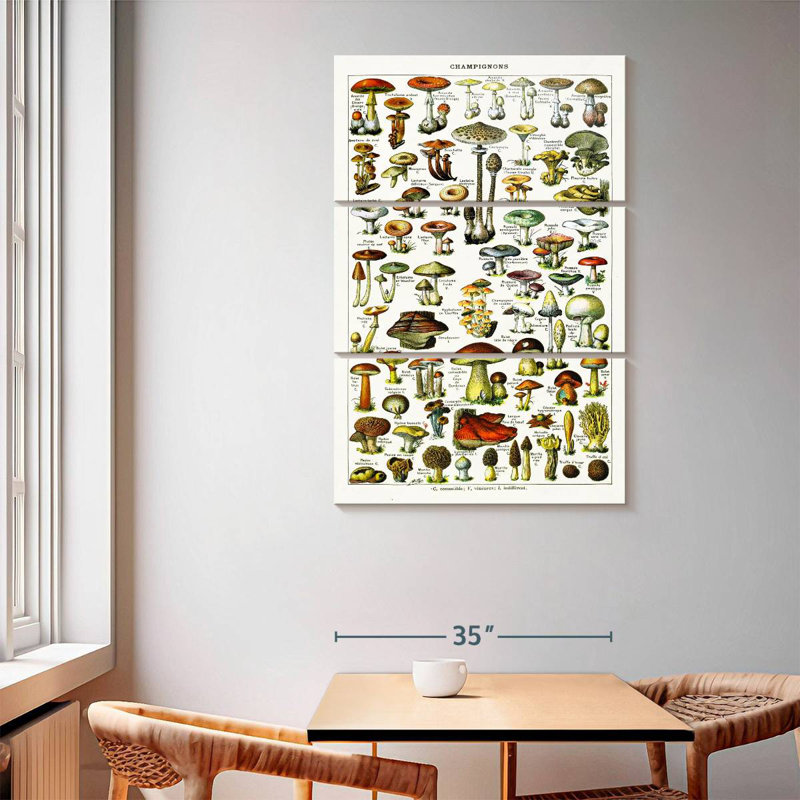 Yarlin Mushroom Varieties, 65" H x 42" W